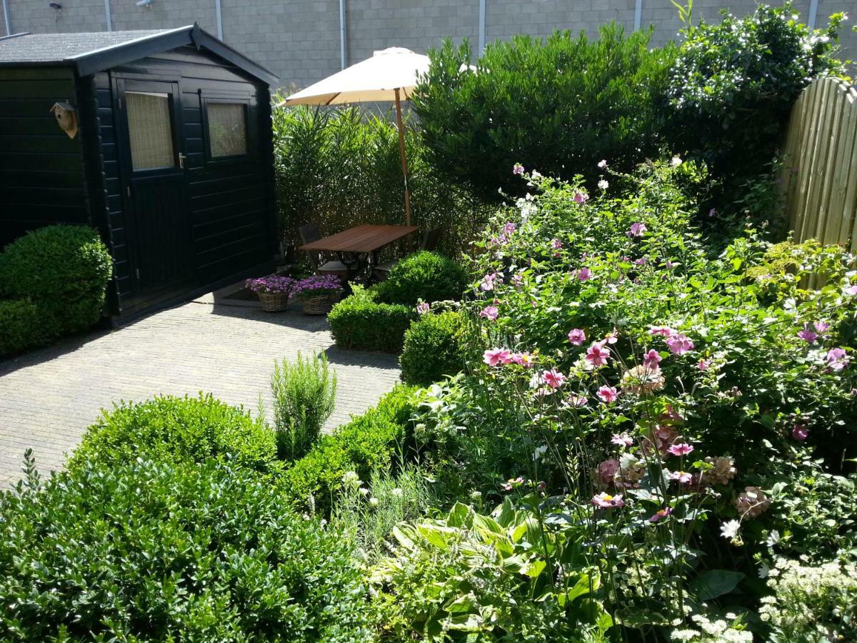 Bed & Breakfast Frans Hals Haarlem Ngoại thất bức ảnh